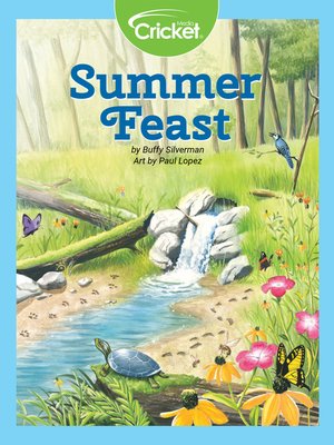 cover image of Summer Feast